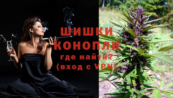 спиды Медвежьегорск